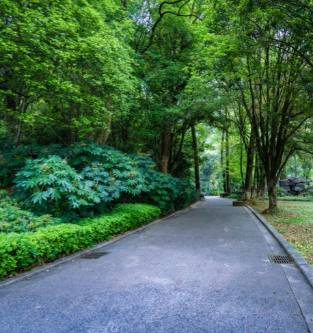 Park